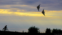 Kites Dream