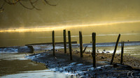 Port Moody